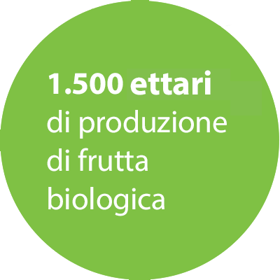 15% convertito a produttori biologici e biodinamici