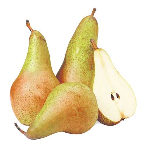 Pera, Pear